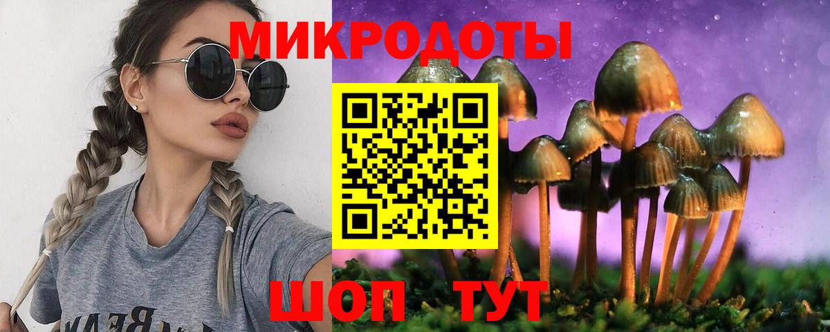 Псилоцибиновые грибы Psilocybe  Вход с VPN  Волгодонск 