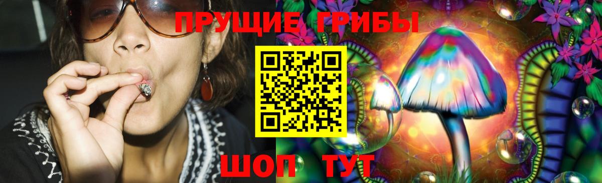Псилоцибиновые грибы GOLDEN TEACHER Волгодонск